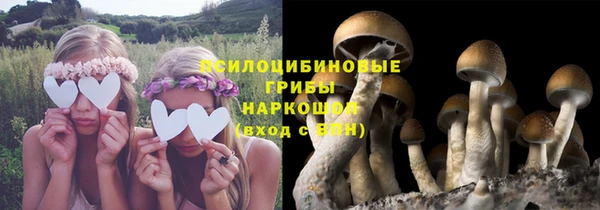 соль курить ск Богородицк