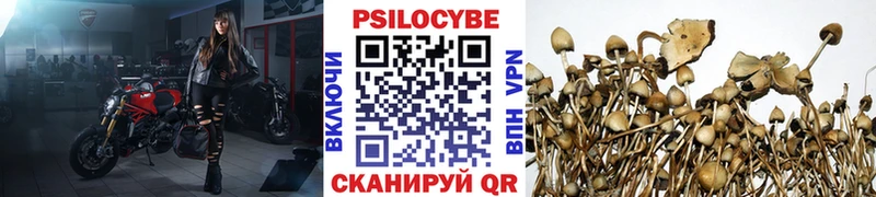 что такое   блэк спрут маркетплейс  Галлюциногенные грибы GOLDEN TEACHER  Балашиха 